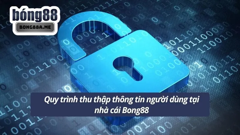 Quy trình thu thập thông tin người dùng tại nhà cái Bong88