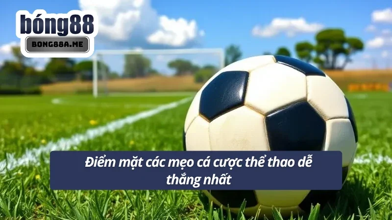 Những mẹo cá cược thể thao dễ thắng nhất từ Bong88