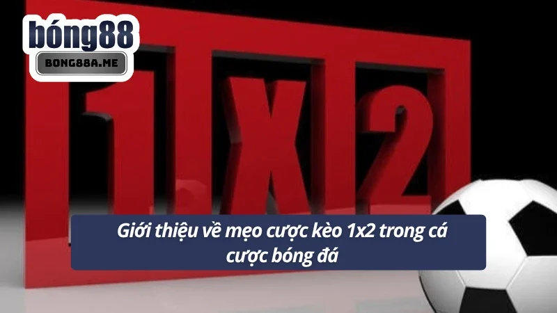 Mẹo cược kèo 1x2 được nhiều người chơi lựa chọn bởi sự đơn giản và dễ hiểu