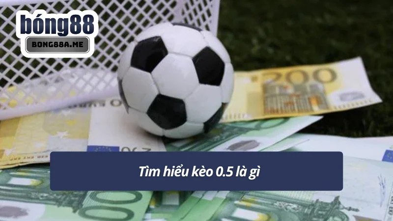 Nắm bắt một vài thông tin cơ bản về cược chấp nửa bàn